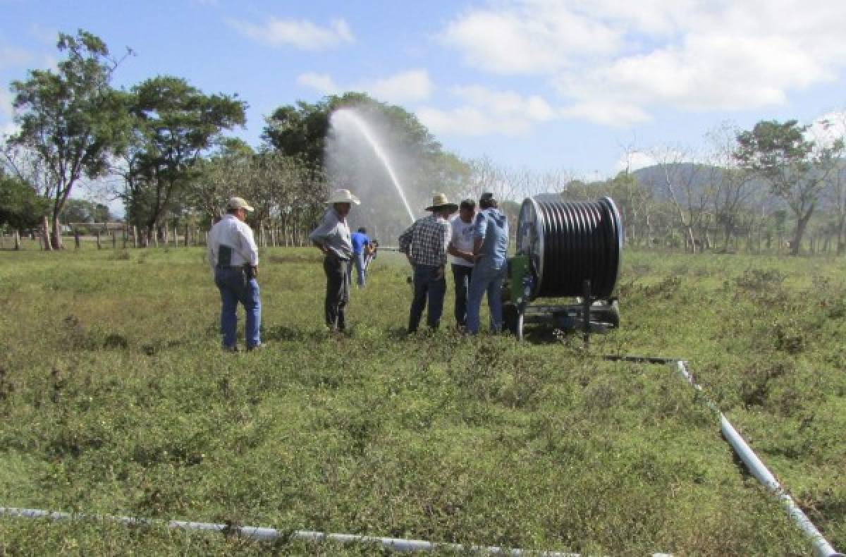 Productores de Jamastrán exigen que inicie proyecto de riego por goteo