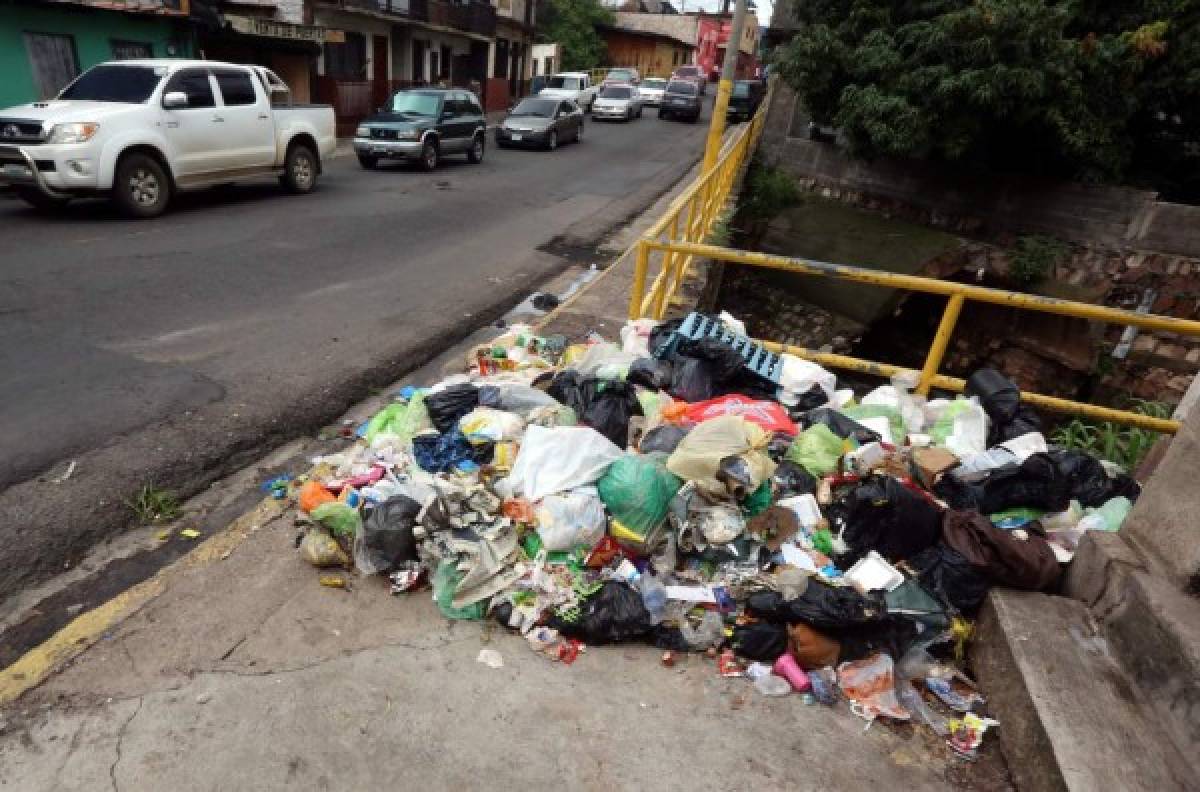 Esperan que en noviembre den luz verde a Ley de Residuos Sólidos