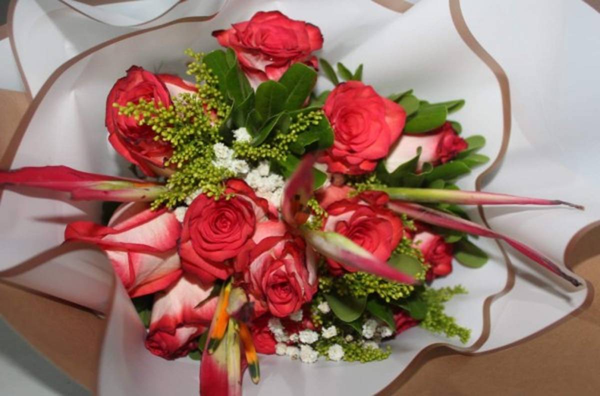 Sky Inn, un detalle para ese ser especial