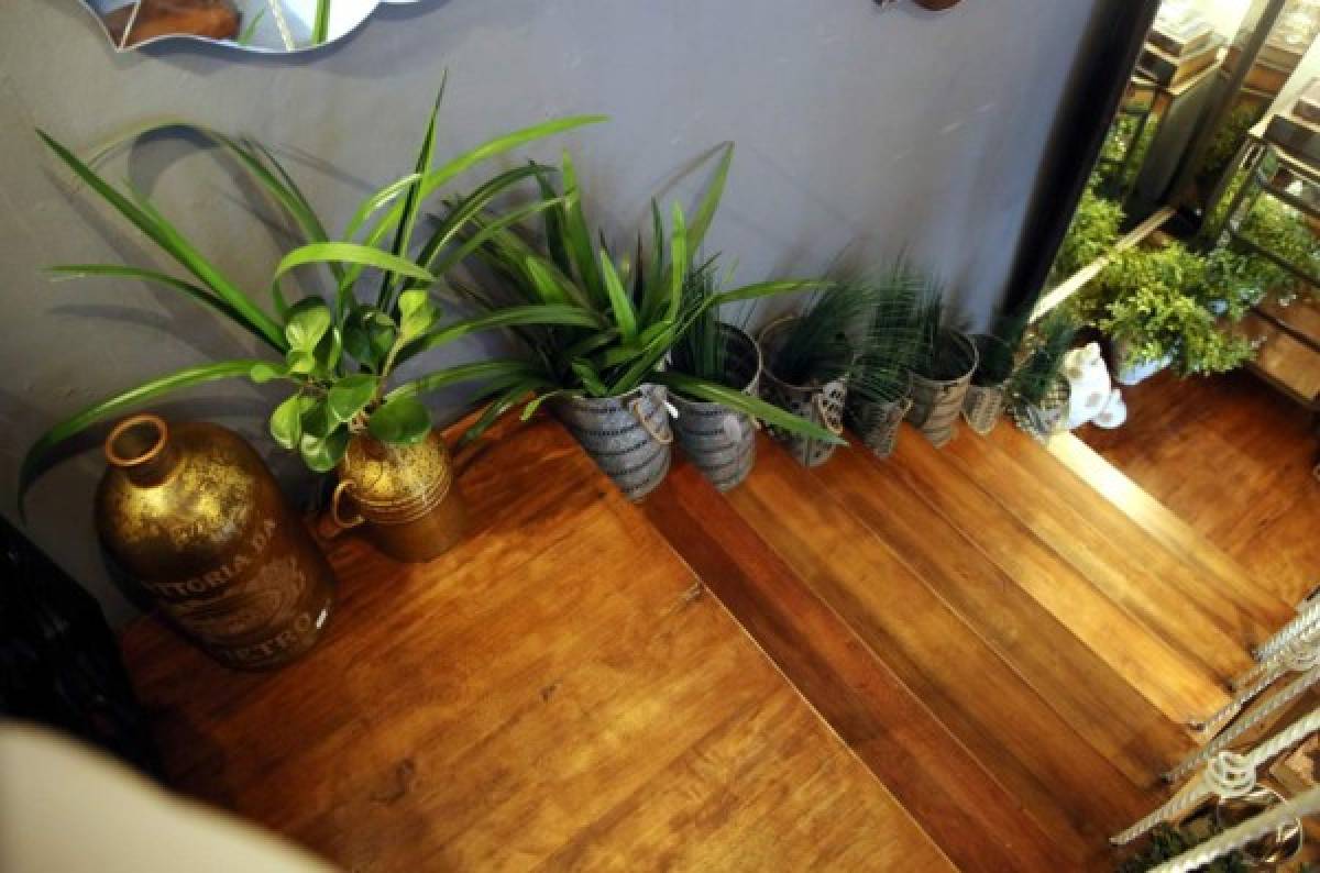 Para las casas de dos pisos, una buena idea es decorar las gradas con plantas. / Foto: Jimmy Argueta
