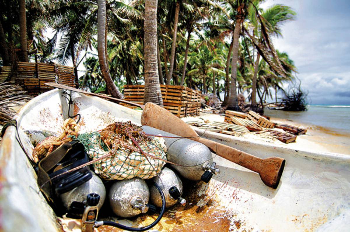 Gobierno de Honduras incumple cierre de pesca de langosta