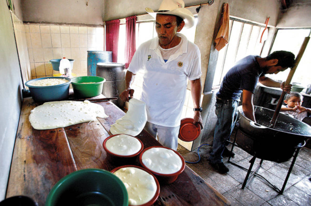 Honduras: El quesillo y el secreto de su elasticidad