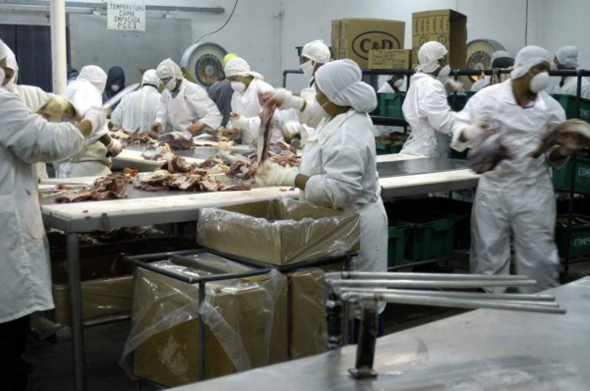 Cierra exportadora de carne de res por escasez de ganado