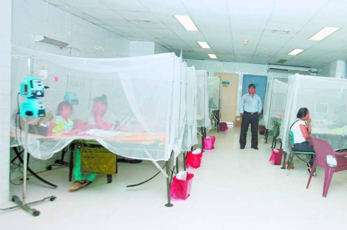 Salud se prepara ante una posible epidemia de dengue en Honduras