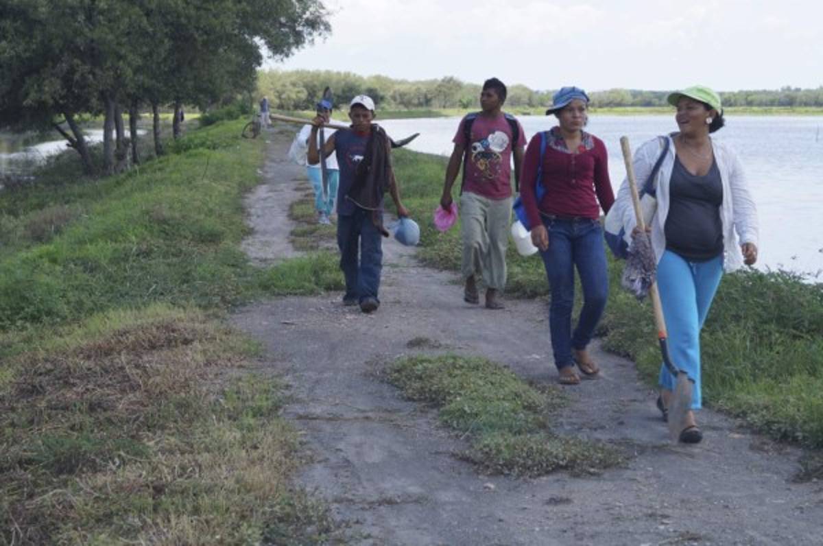 Gobierno logra alianza con grupos campesinos para cultivar camarón