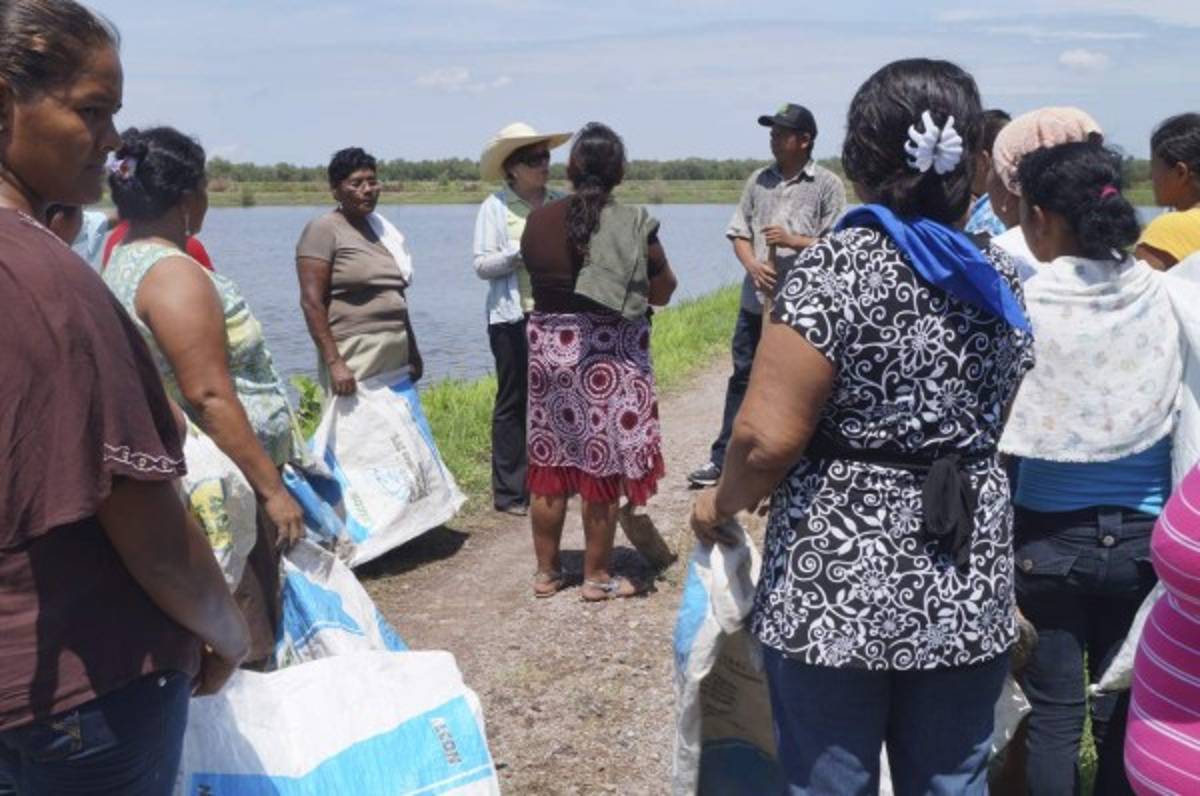 Gobierno logra alianza con grupos campesinos para cultivar camarón