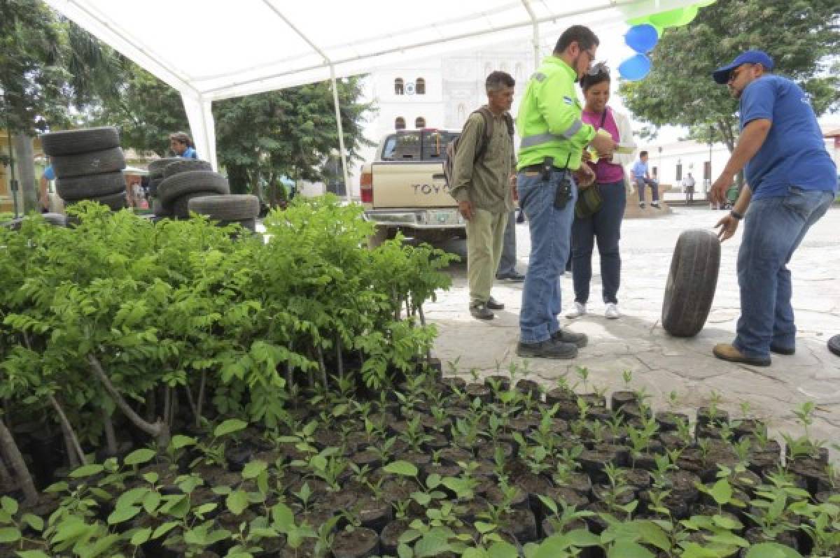 Alumnos de Comayagua realizan trueque de plantas por llantas