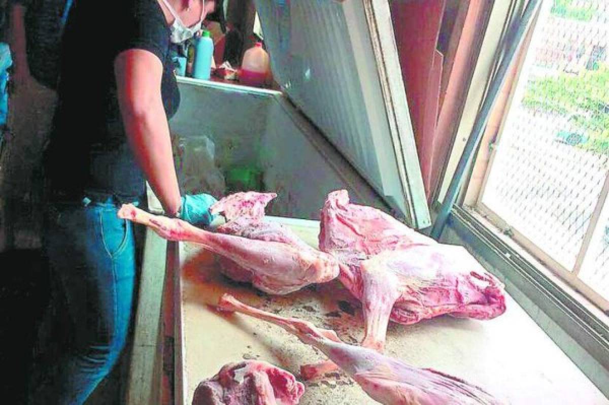 Honduras: Hasta cabeza de perro hallaron en restaurantes chinos