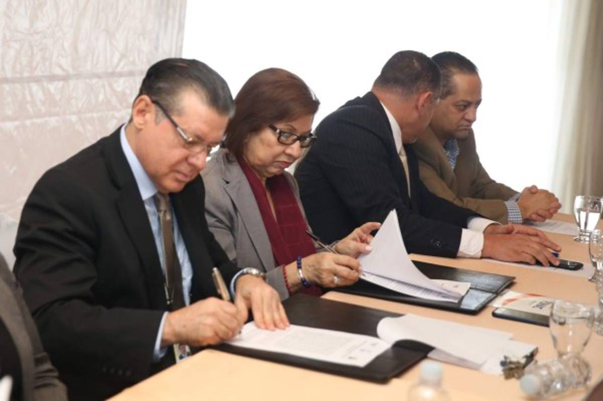 La OEA confirma su presencia como observador del N-26