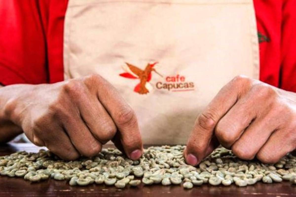 El genio detrás del éxito de café Capucas