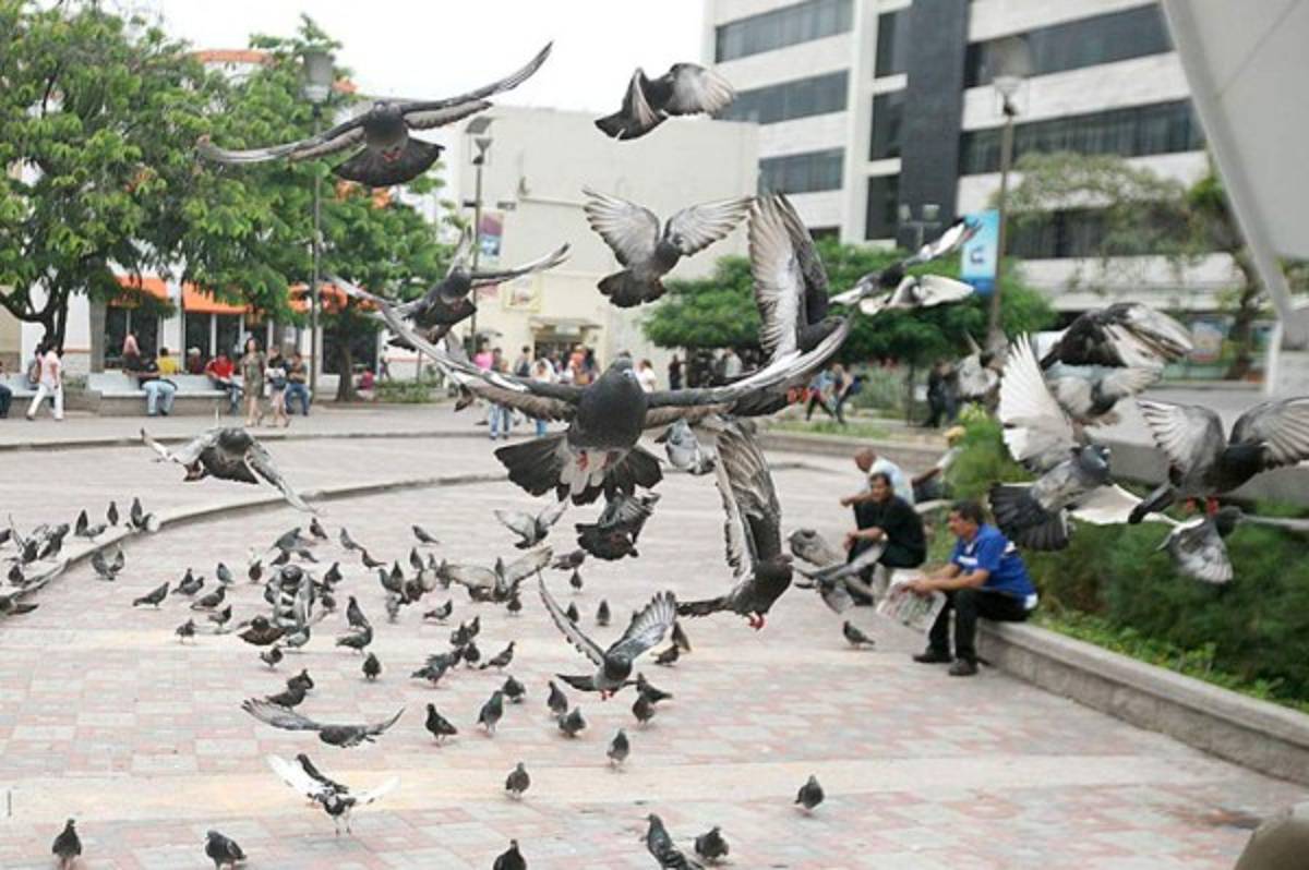 Los cambios más destacados en los últimos años en la capital