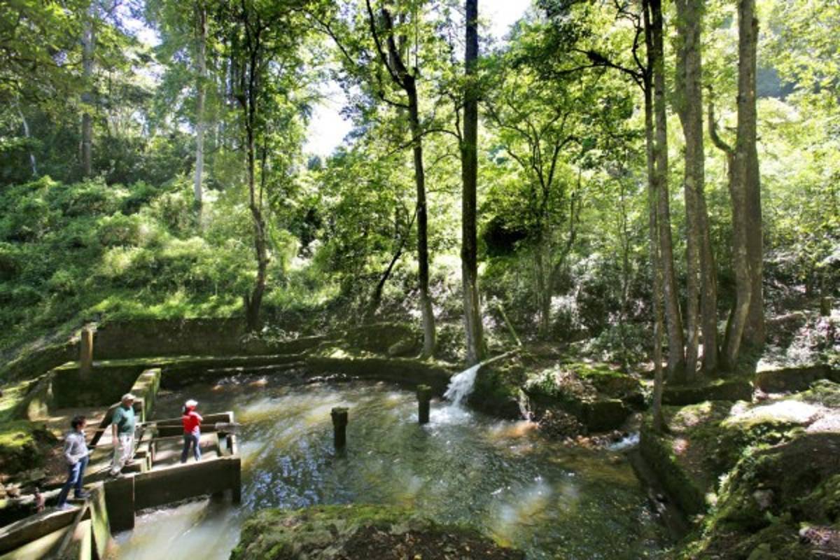 Mediante decreto buscan generar recursos para La Tigra