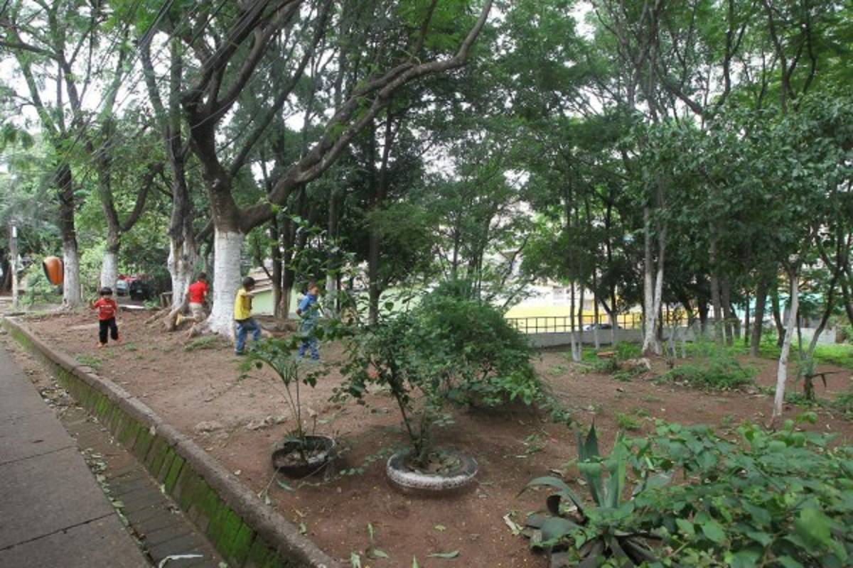 Con lotificación de áreas verdes regulan venta ilegal de predios