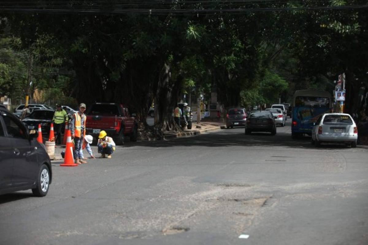 Inician mejoras en el bulevar Los Próceres