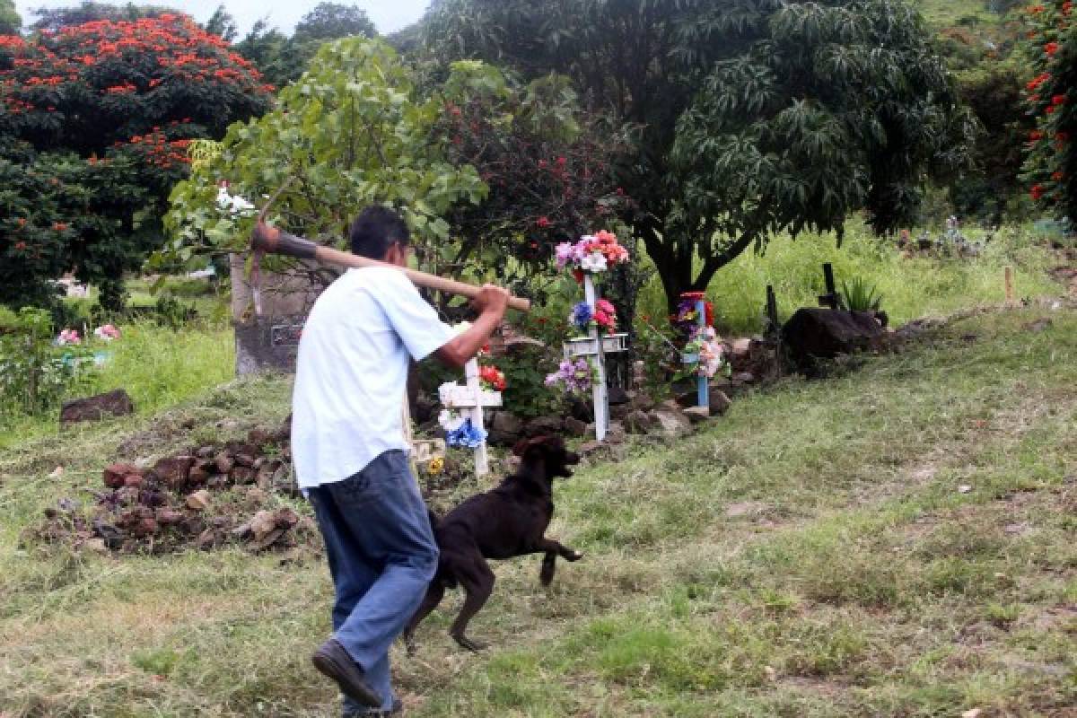 Retiran maleza en los cementerios de Tegucigalpa