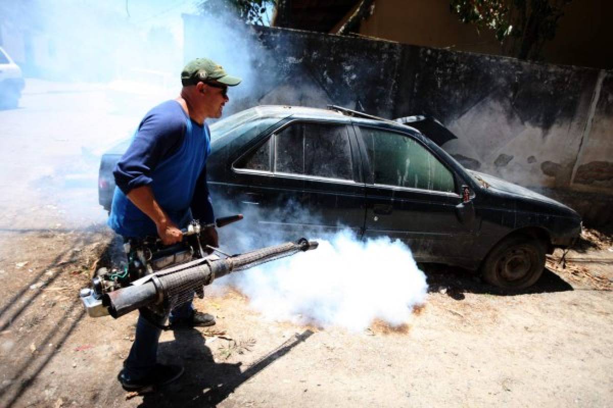 En un 20 por ciento incrementan los casos de dengue en la capital de Honduras