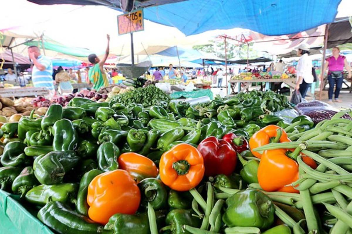 Un recorrido por la Feria del Agricultor y el Artesano