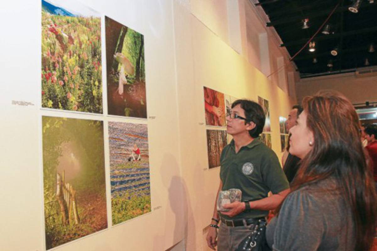 El parque La Tigra en 100 imágenes