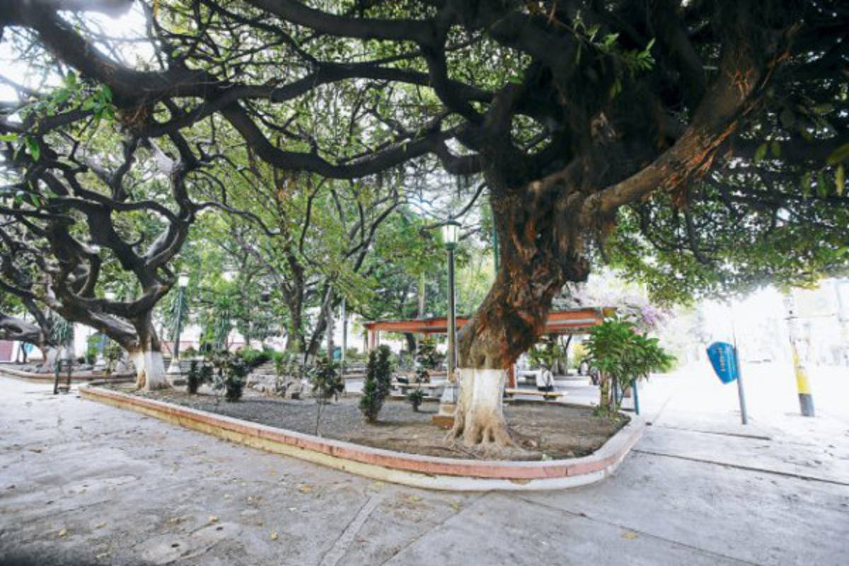 Parque La Libertad recupera visibilidad