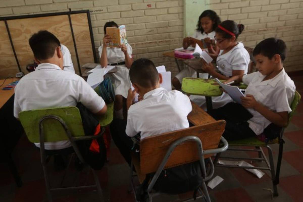En apenas el 2% de las escuelas se atienden niños con discapacidad
