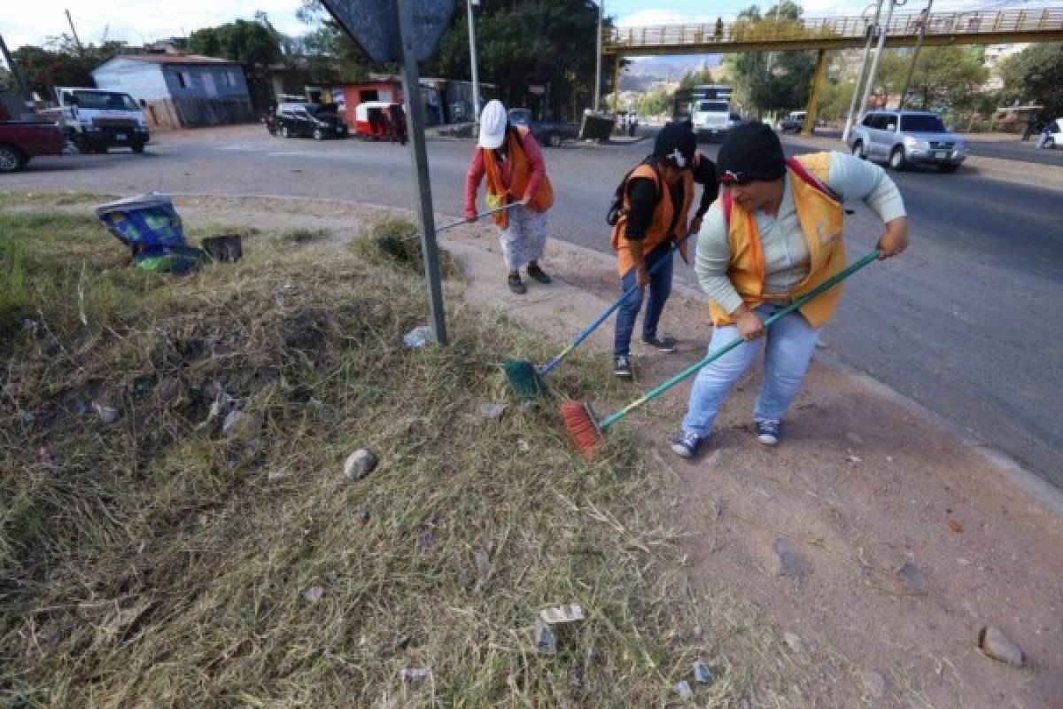 Megaoperativo de limpieza contra el zancudo en 14 colonias de la capital