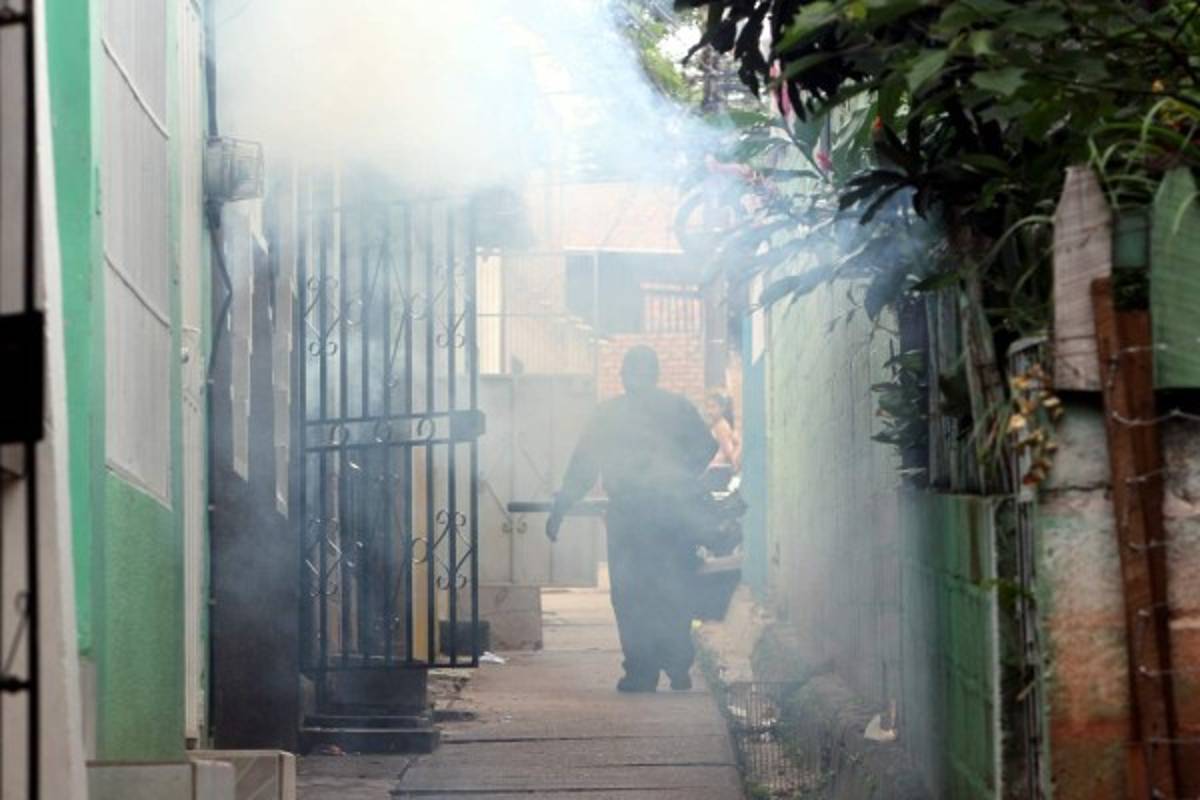 Fumigan 3,800 casas en el Hato