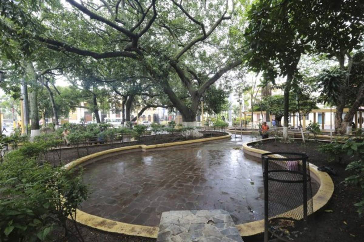 Proyecto de rescate para el parque La Libertad