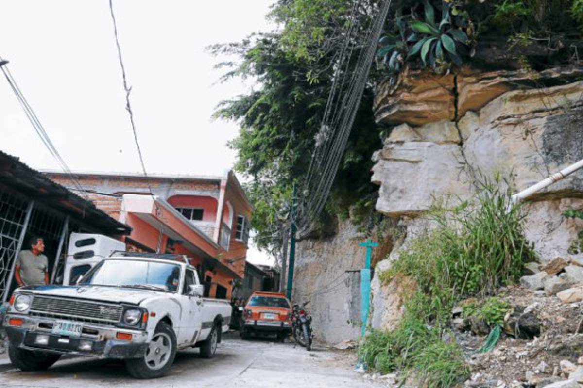 Lomas del Cortijo: Tala de árboles iniciará este jueves