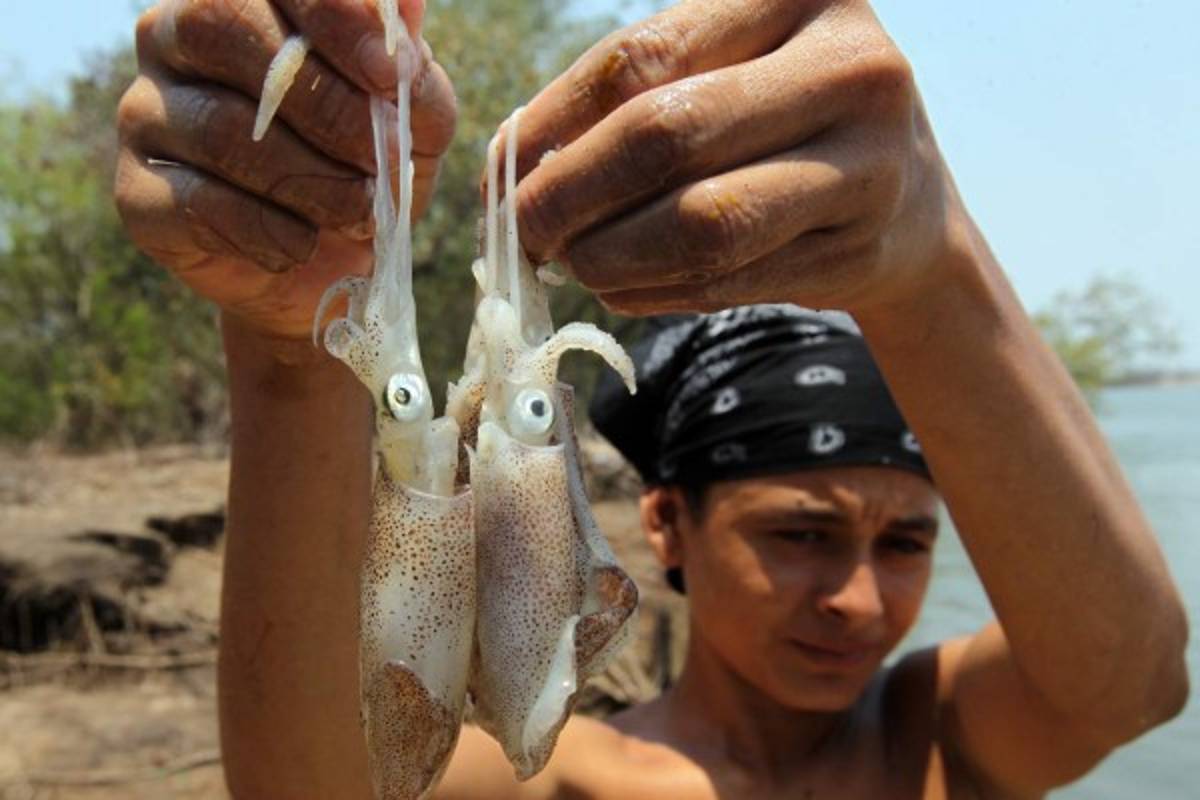 El Golfo de Fonseca, Un tesoro natural en el pacífico hondureño