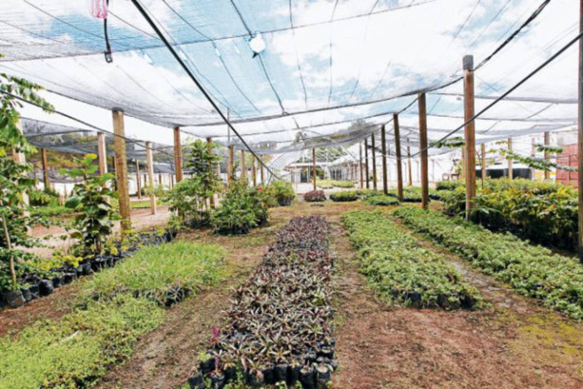 Antigua Penitenciaría Central, de área de represión a sitio de expresión