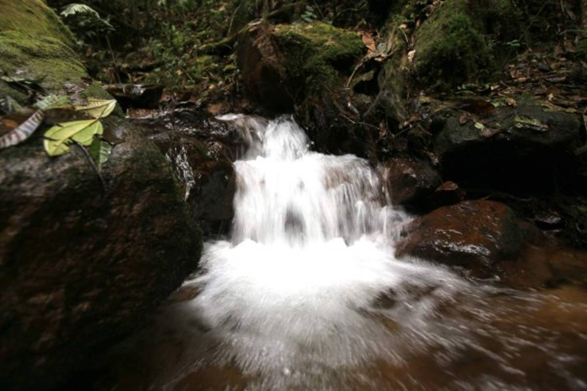 La ruta Cerro de Plata, la unión de El Picacho, El Piligüín y La Tigra