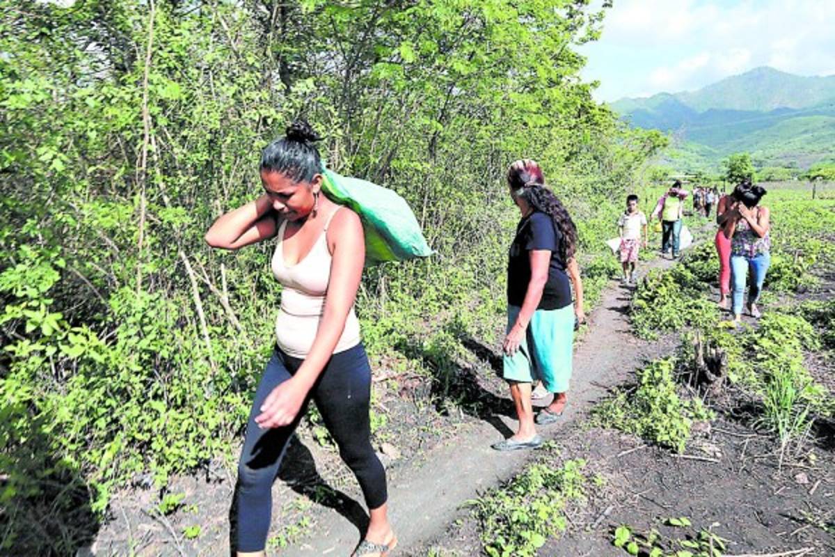 Ordenan investigación por frijoles tóxicos desechados por el PMA