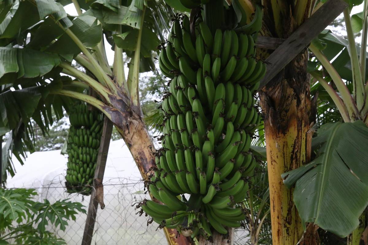 Imágenes que inspiran: así se vive con optimismo en Arca de Esperanzas