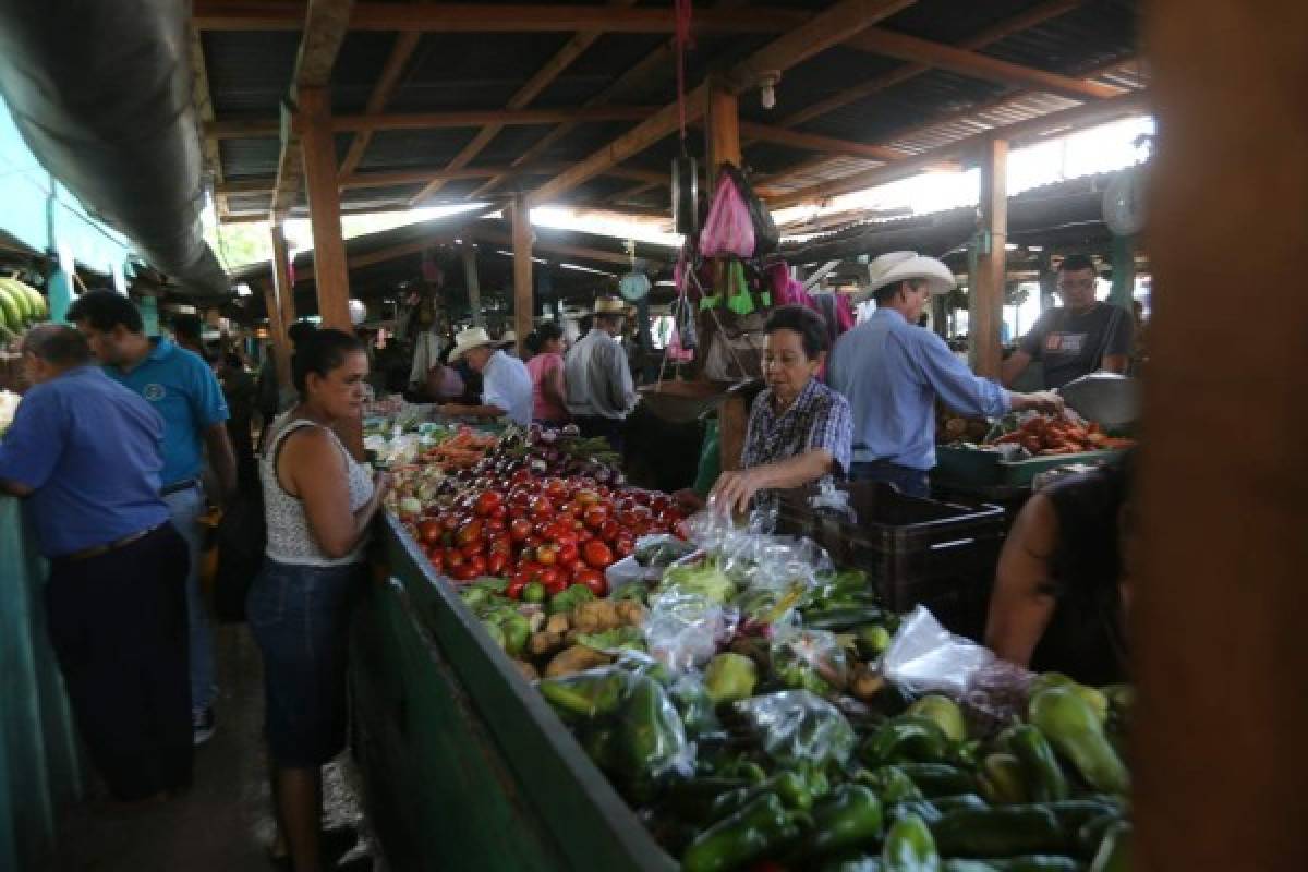 Honduras: Millonaria inversión se ejecuta en los mercados capitalinos