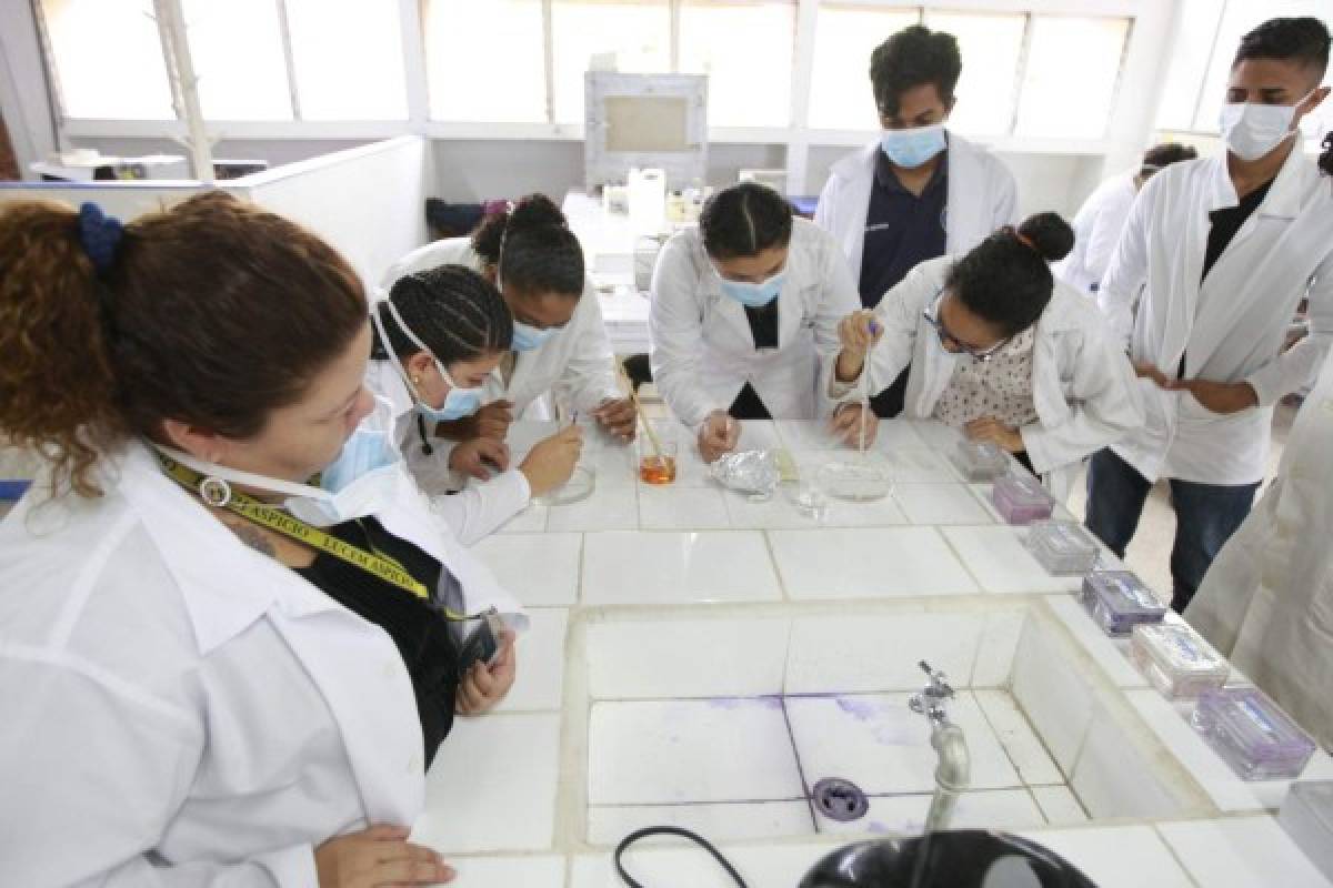 Tejidos microscópicos que prepara la UNAH serán usados por alumnos de media