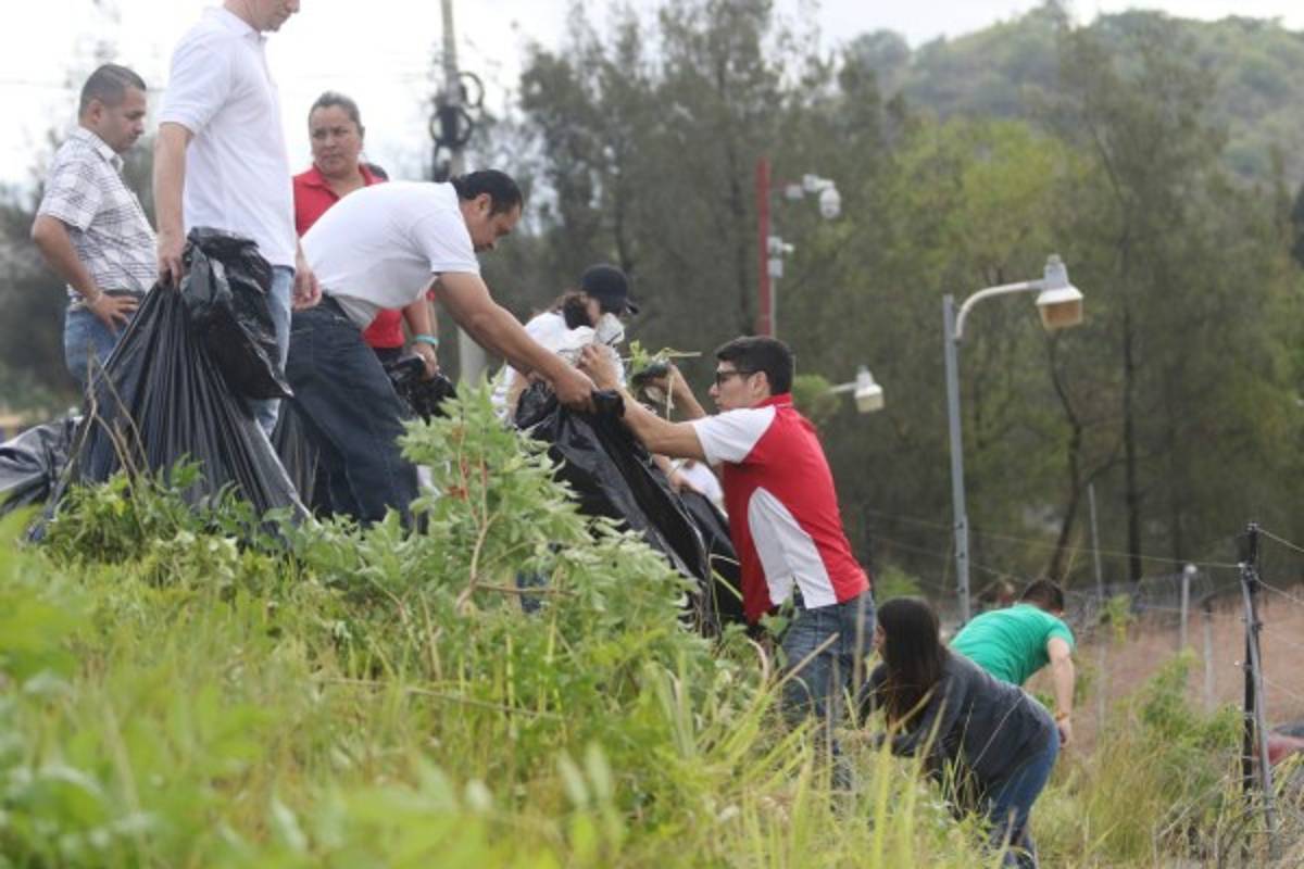 Practiquemos los buenos hábitos, tomemos conciencia y desechemos todo lo que pueda convertirse en criadero de zancudos.
