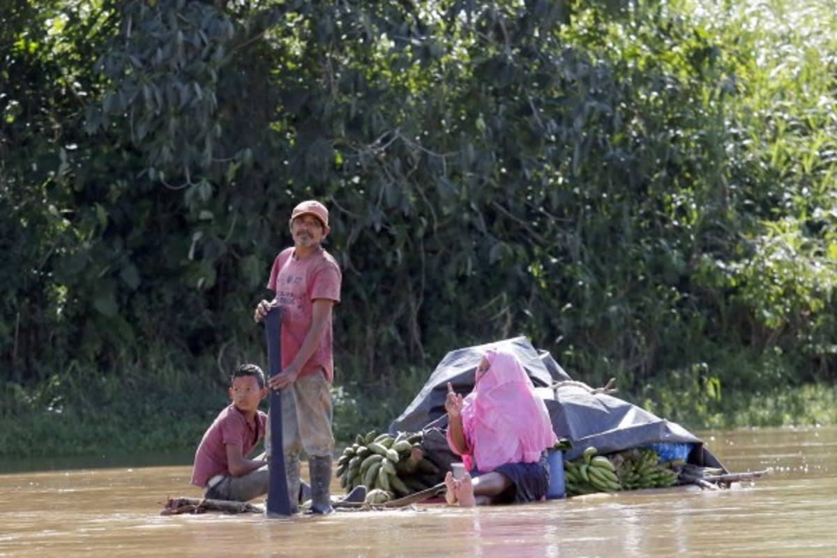 Los pobladores de Krausirpi, que en su mayoría son personas de escasos recursos económicos, se las ingenian para transportar los productos que han cosechado para llevarlos a los hogares y que sirvan para el sustento de las familias. Para llegar a sus lugares deben realizar largos recorridos en pequeñas balsas (Foto: Marvin Salgado/EL HERALDO)