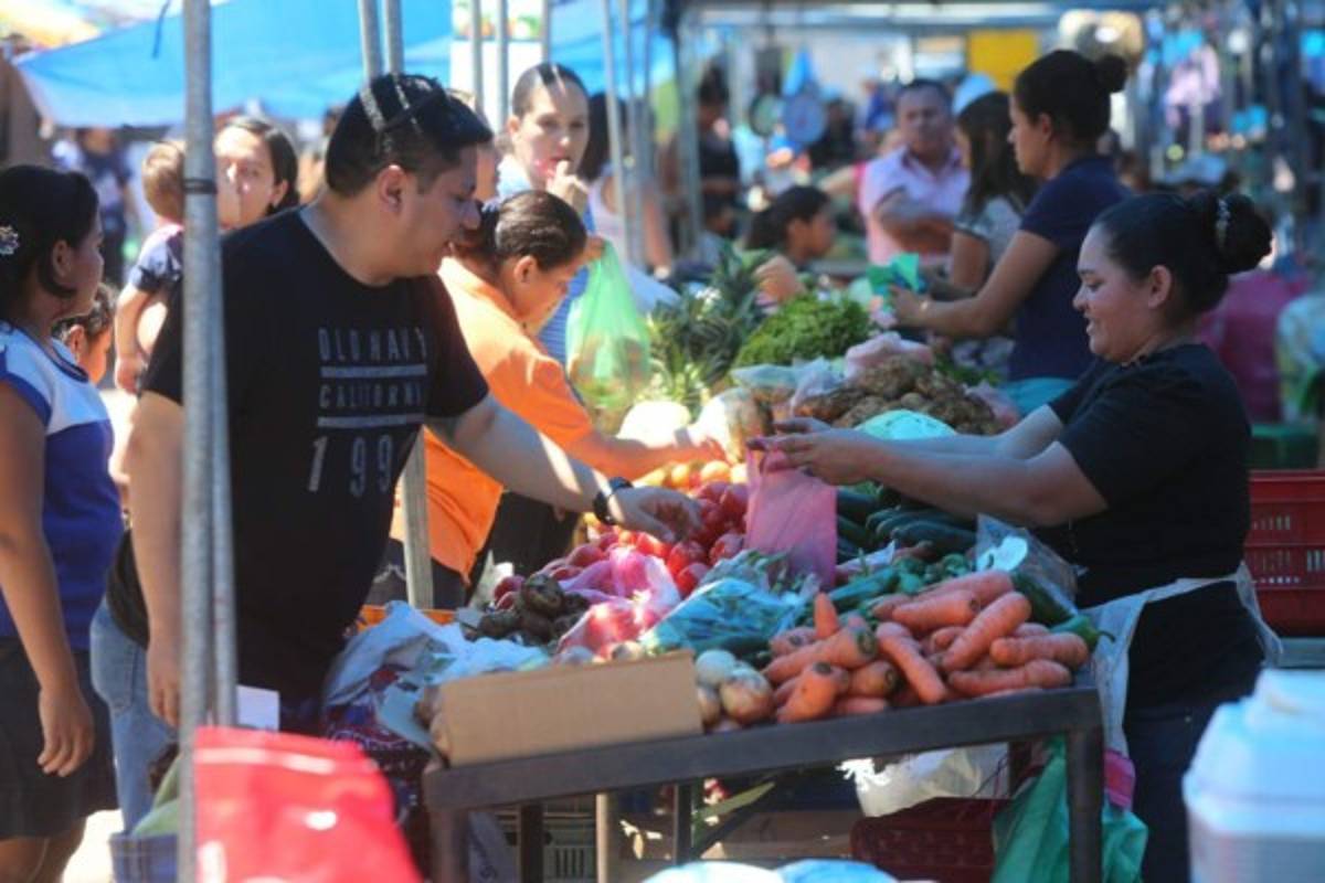 Productores de hortalizas en la capital reciben apoyo