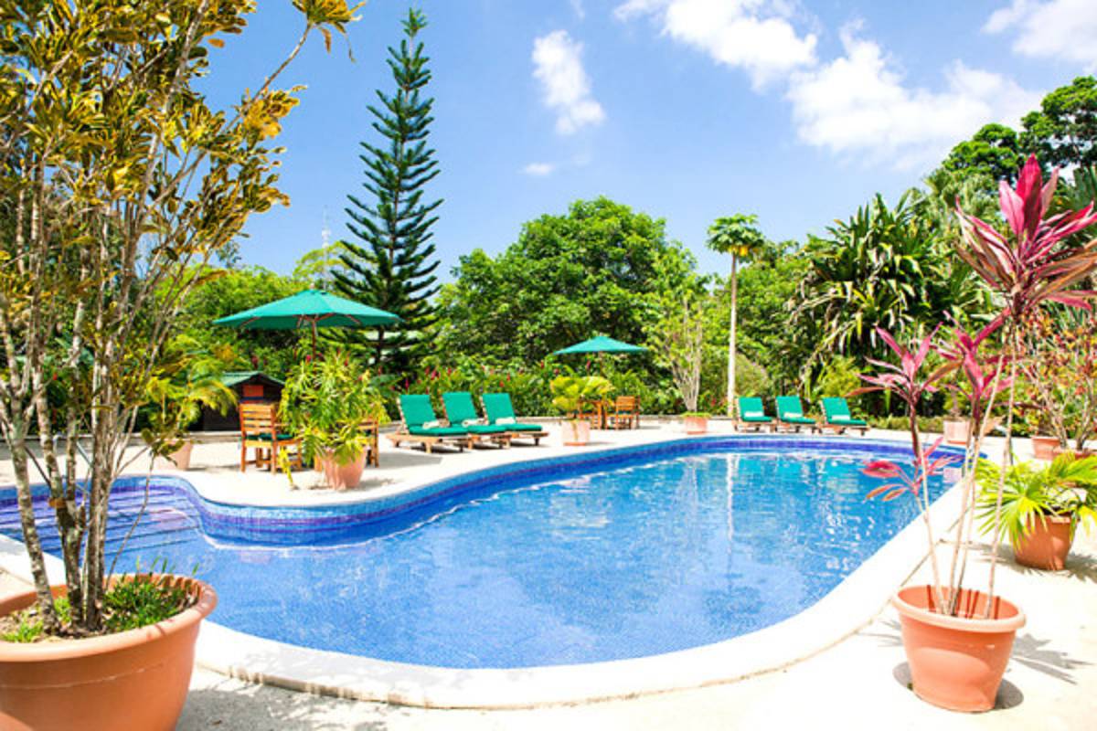 Honduras, paraíso para observadores de aves