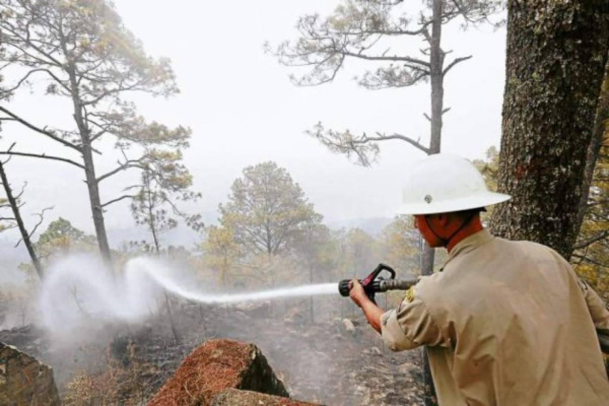 El 27% de los incendios atendidos a nivel nacional son de la capital