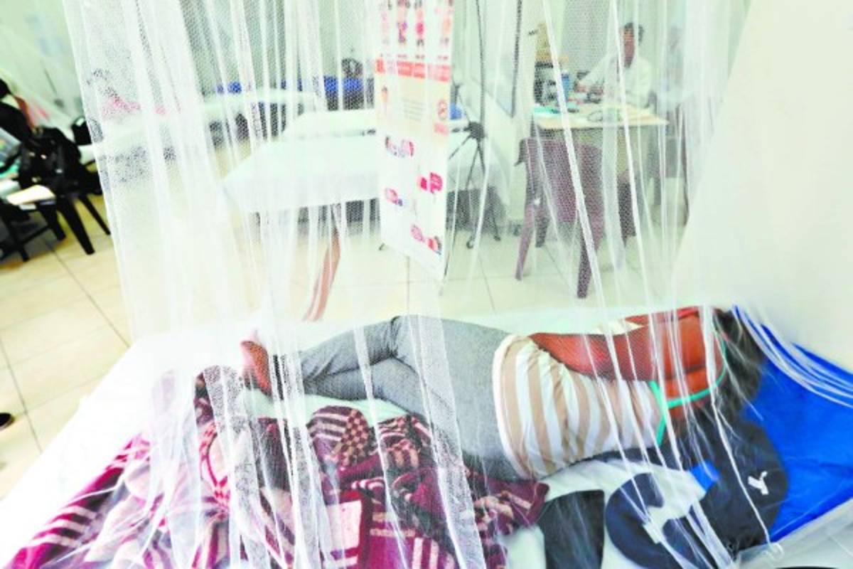 Intervenciones contra el dengue se desarrollan a medio vapor