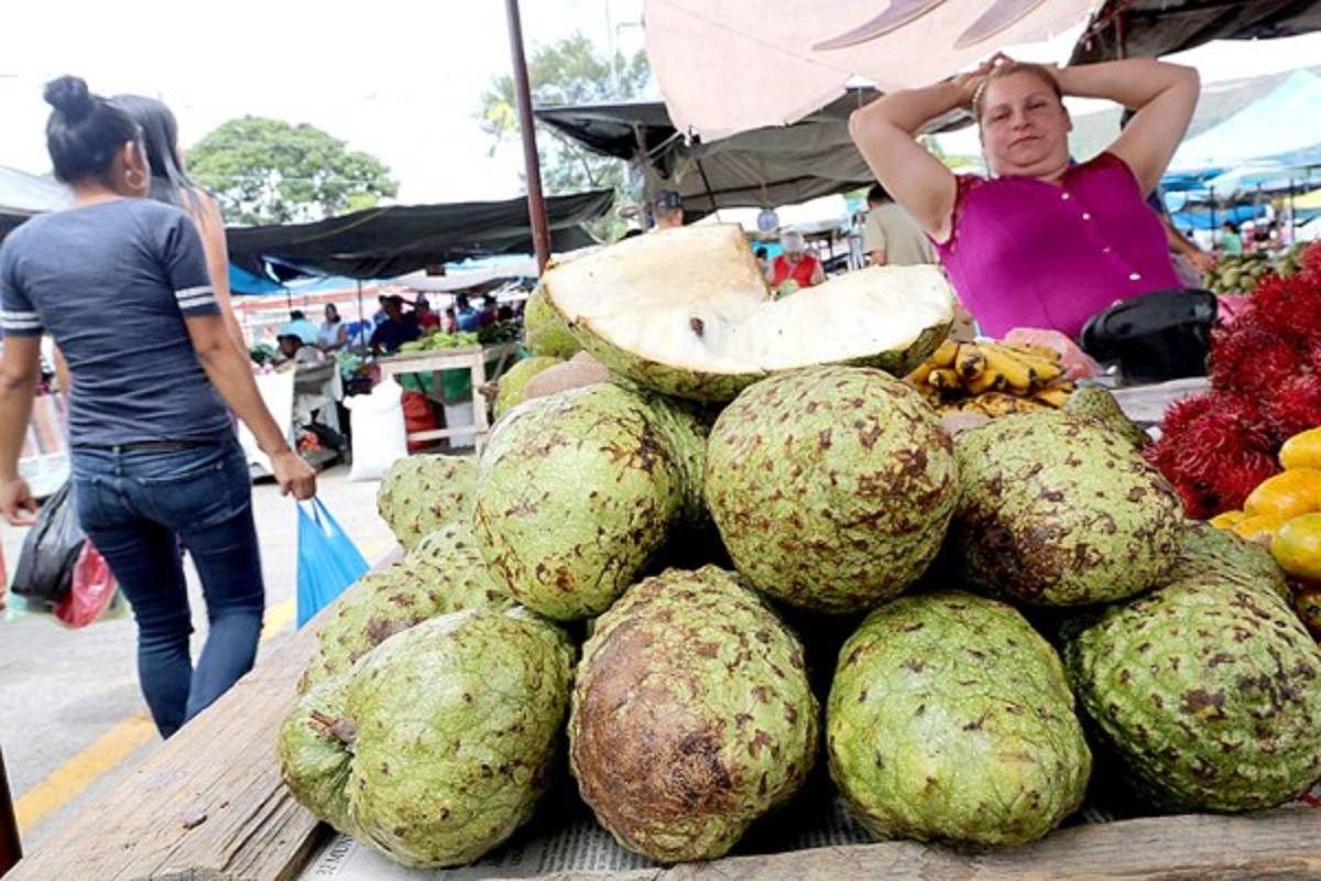 Un recorrido por la Feria del Agricultor y el Artesano