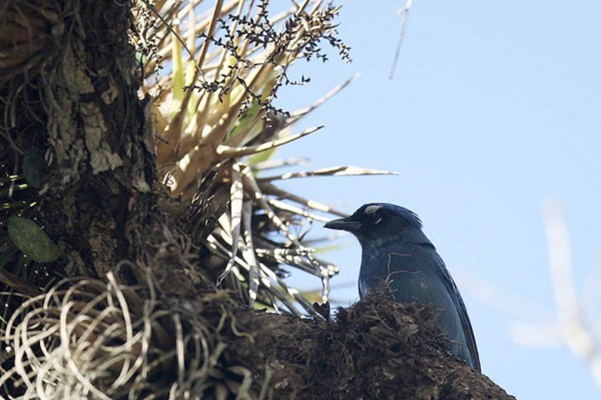 Las Fotos de la Semana en ElHeraldo.hn