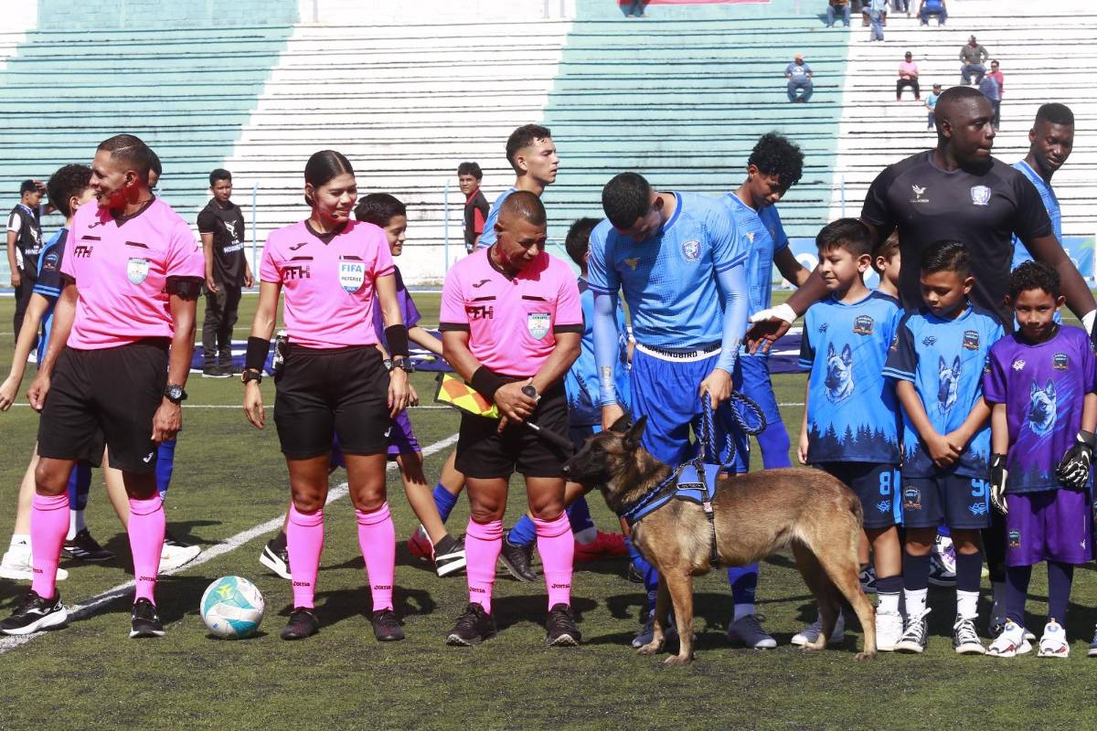 Linda periodista sorprende, tiktoker presente y Marathón sigue encendido en Liga Nacional