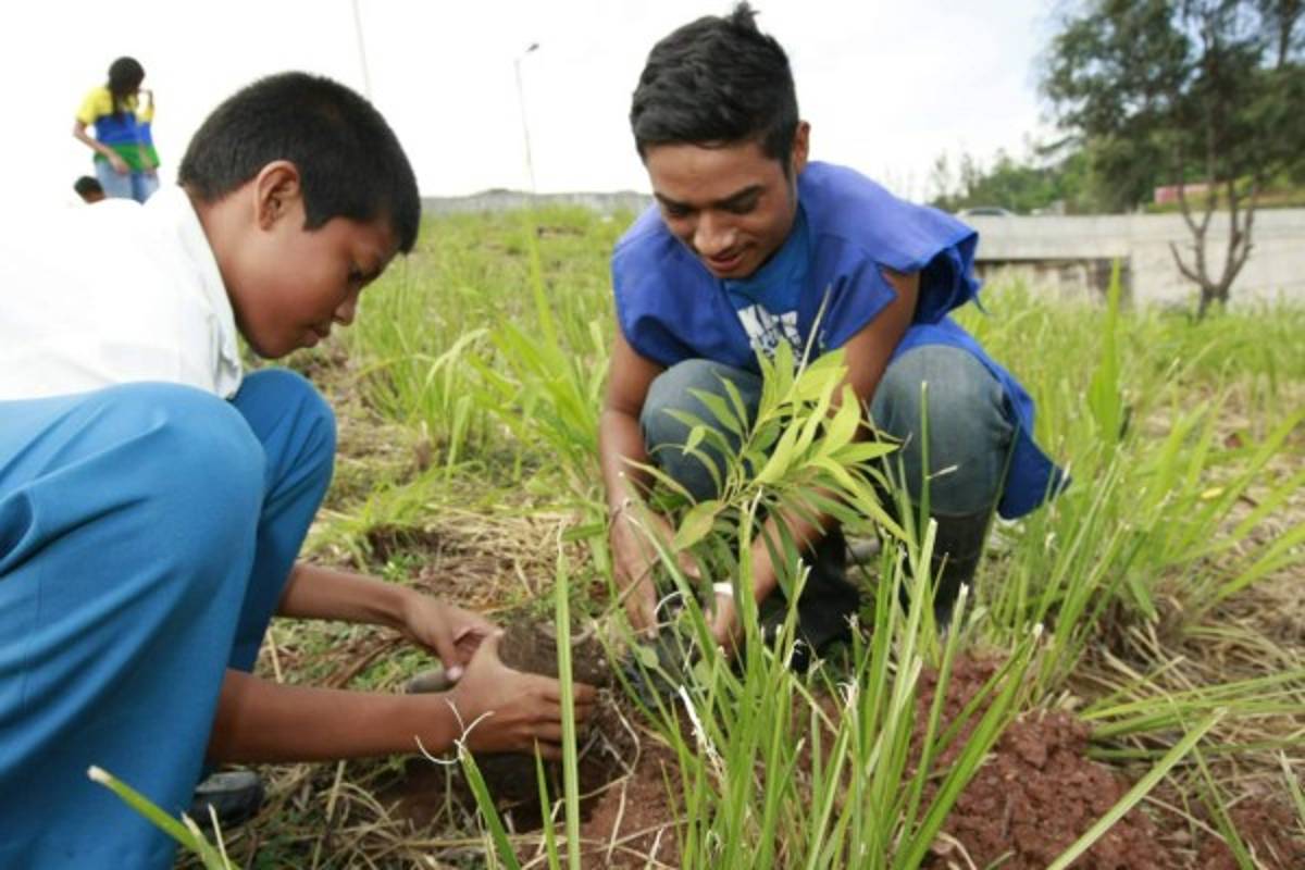 Mañana se conocerá a la escuela más amigable con el ambiente