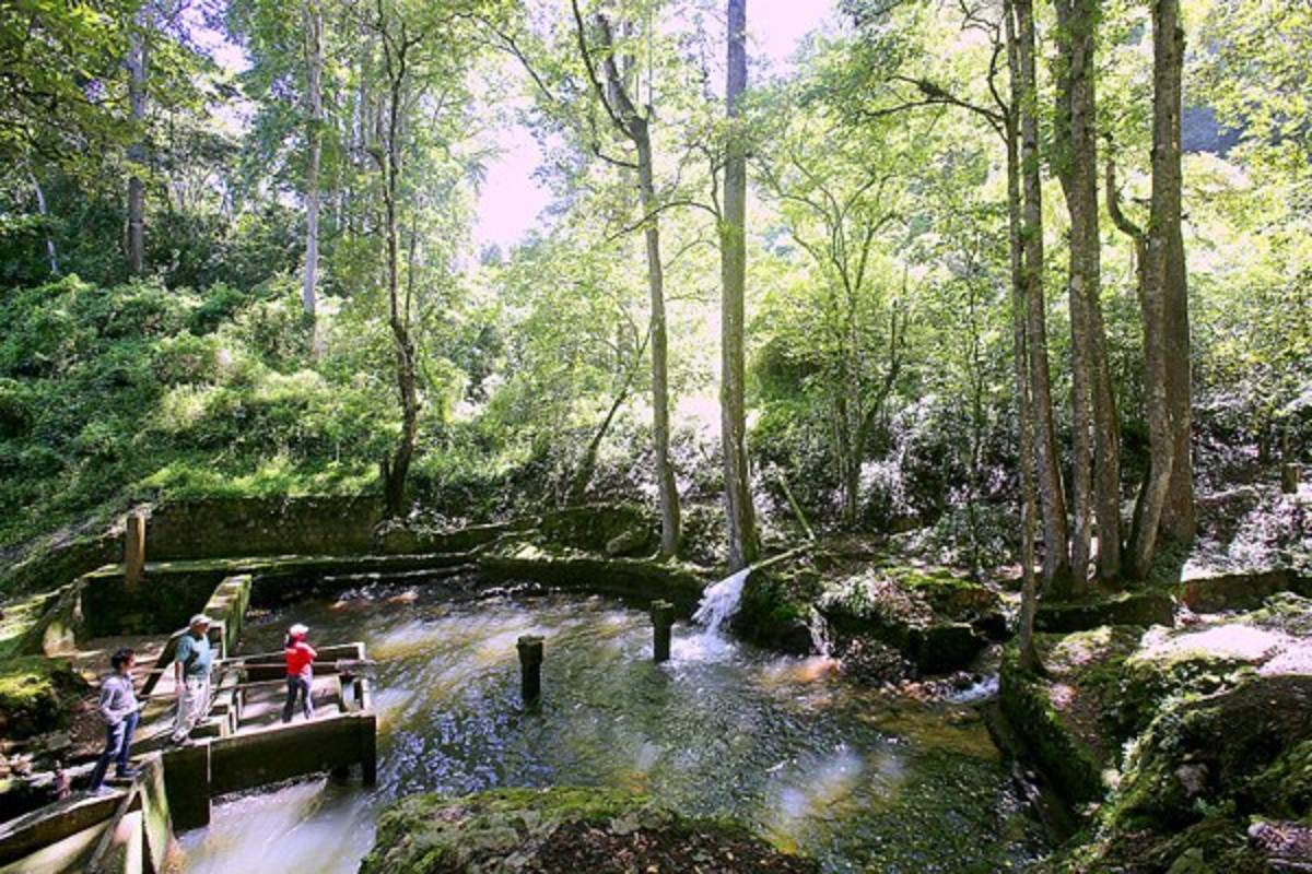 Exuberante belleza natural en La Tigra