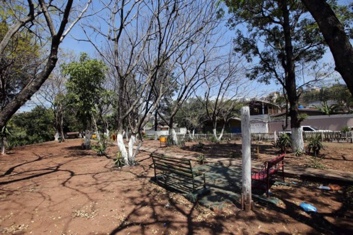 Planean construir parque Convive en la colonia El Hogar