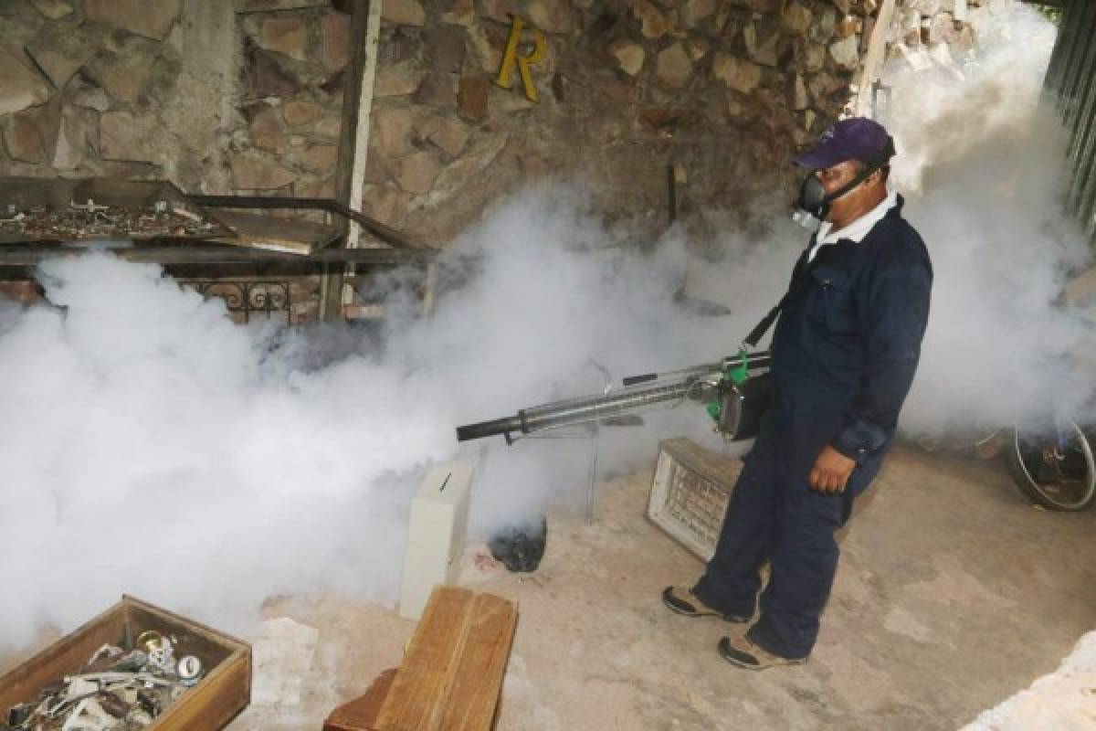 Más de 3,000 personas se unen a lucha contra el dengue en la capital de Honduras