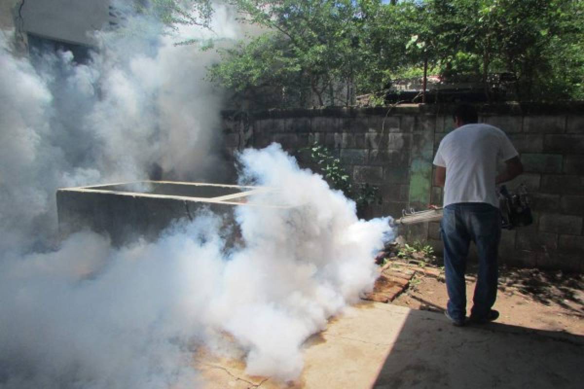Estrepitoso descenso en los casos de zika, dengue y chikungunya