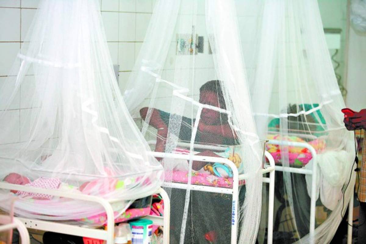 Costoso tratamiento para el chikungunya